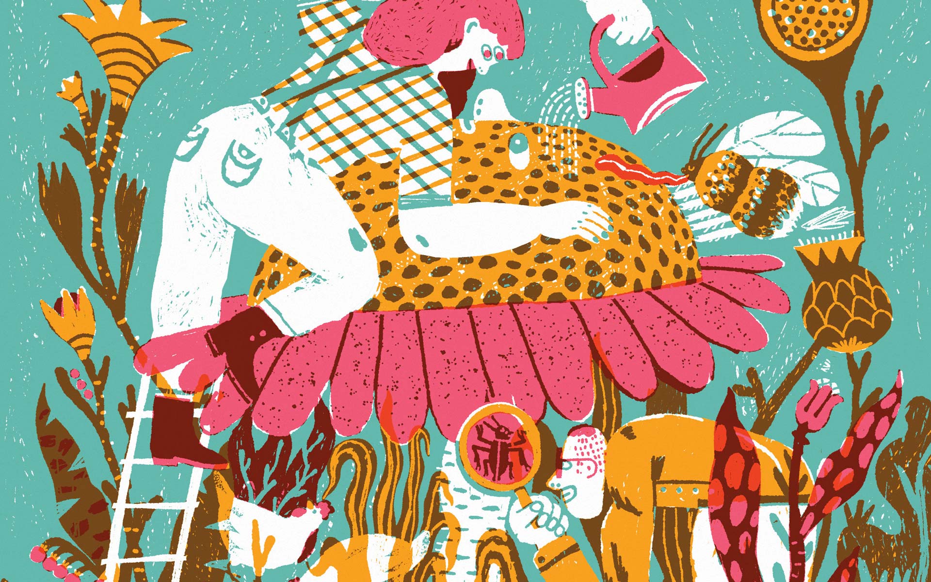 What is Agroecology?