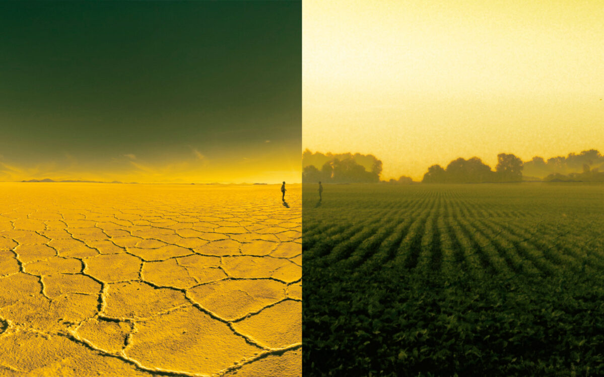 3 Freaking Ways to Overhaul the Food System